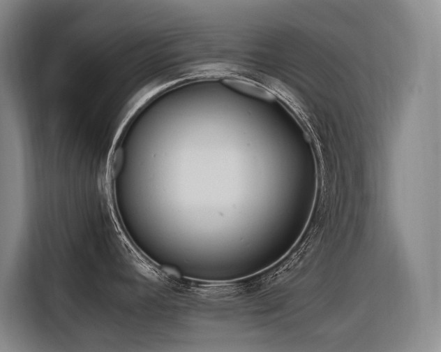 X0000116661392200912141312