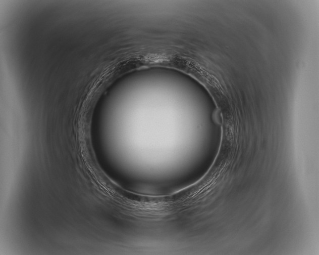 X0000116661393200912141311