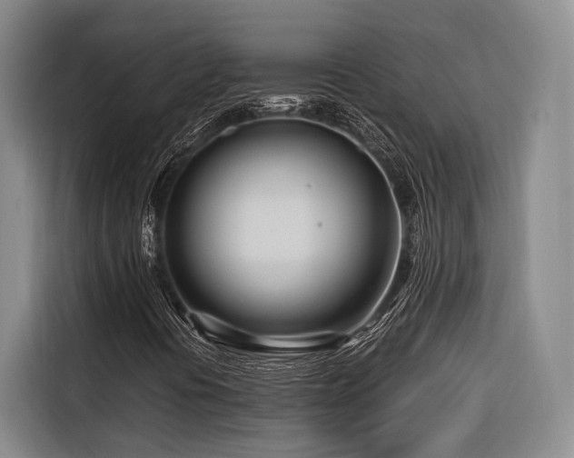 X0000116661394200912141311