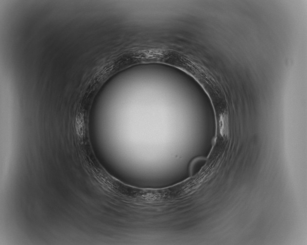 X0000116661395200912141311