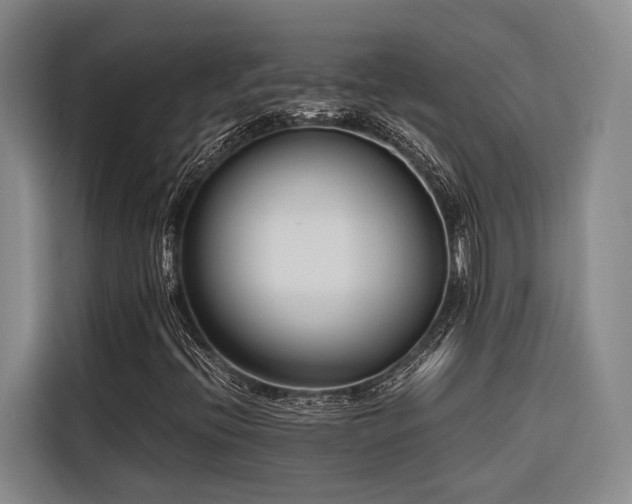 X0000116661396200912141311