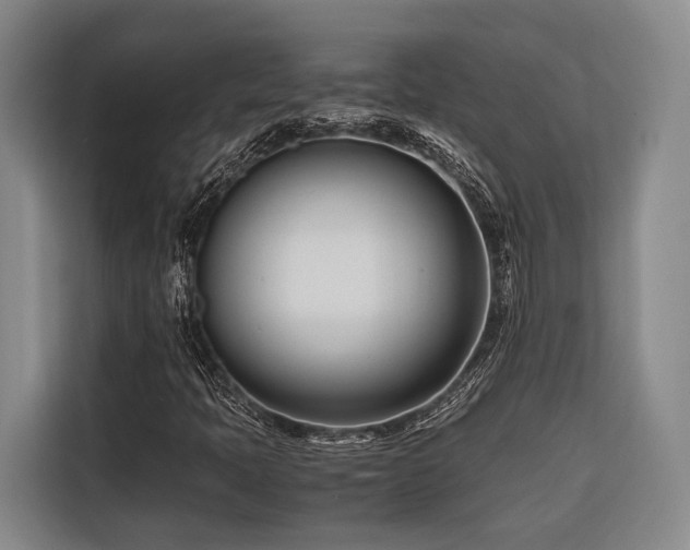 X0000116661397200912141311