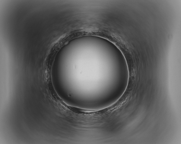 X0000116661398200912141311