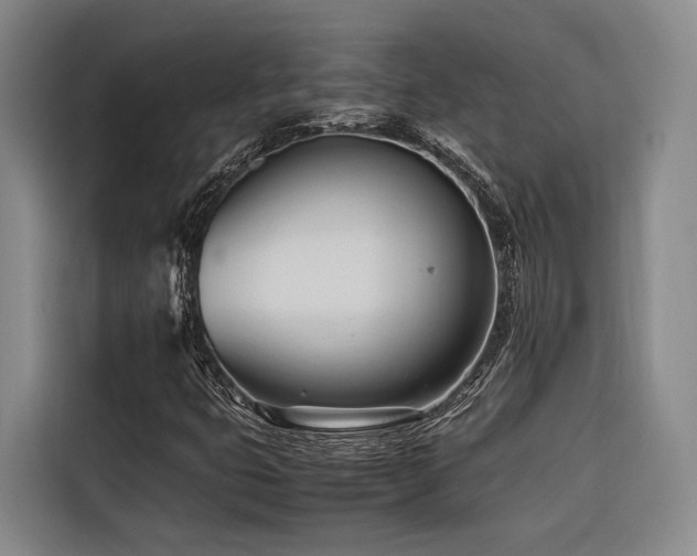 X0000116661399200912141311