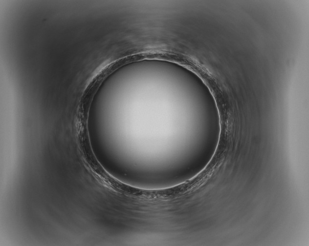 X0000116661400200912141311