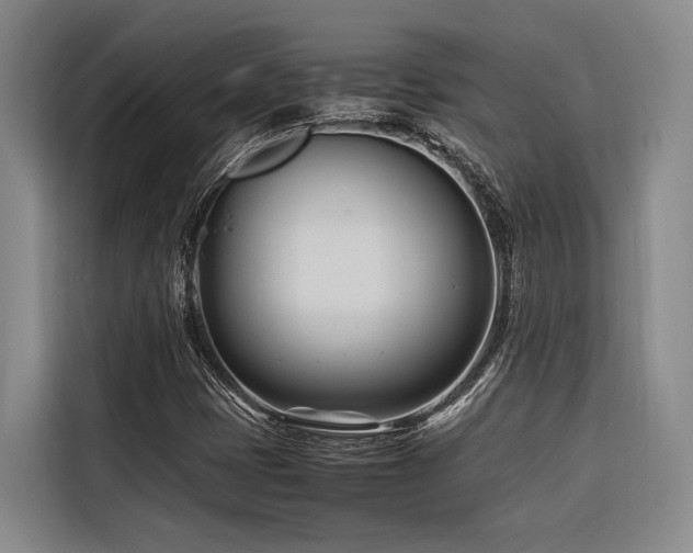 X0000116661401200912141311