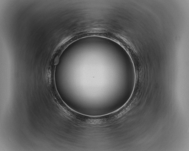 X0000116661402200912141311