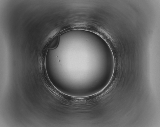 X0000116661403200912141311