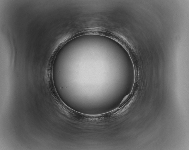 X0000116661405200912141311