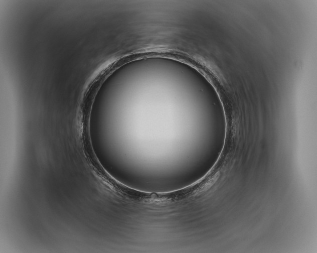 X0000116661406200912141311