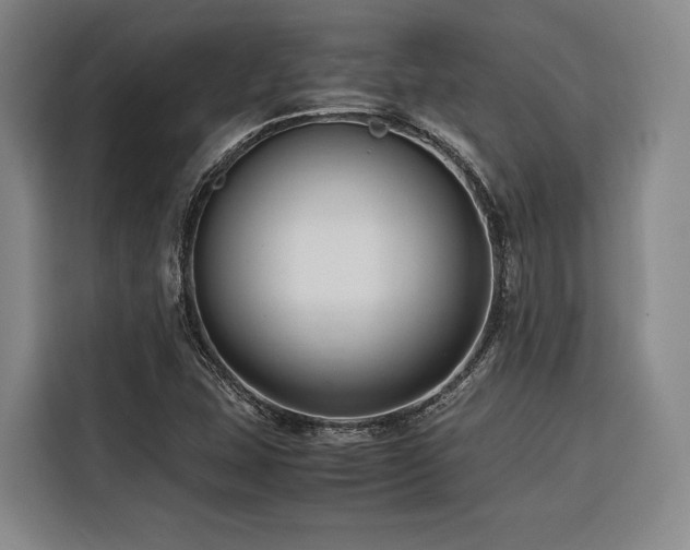 X0000116661407200912141311