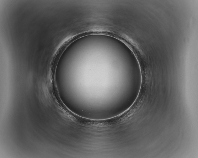 X0000116661408200912141311