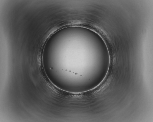 X0000116661409200912141311