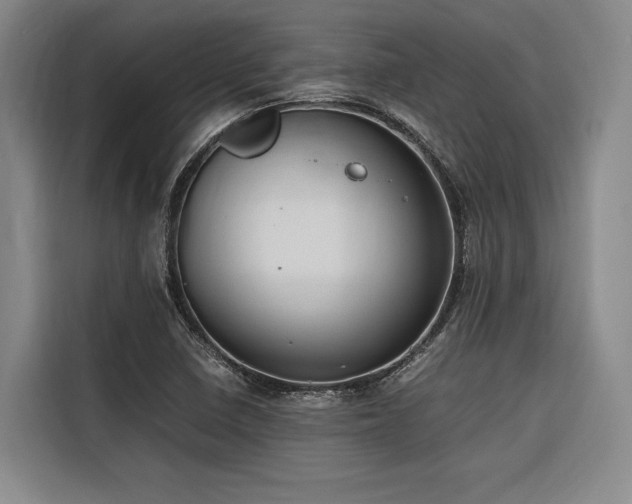 X0000116661410200912141311