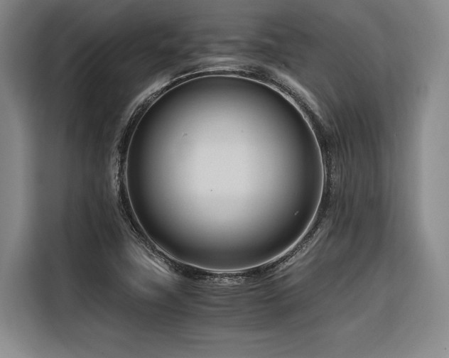 X0000116661411200912141311