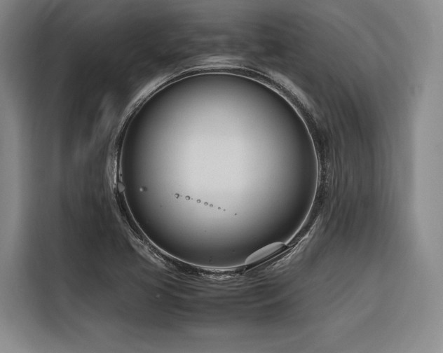 X0000116661413200912141311