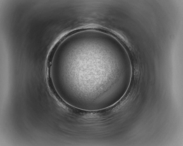 X0000116661414200912141311