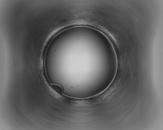 X0000116661416200912141311