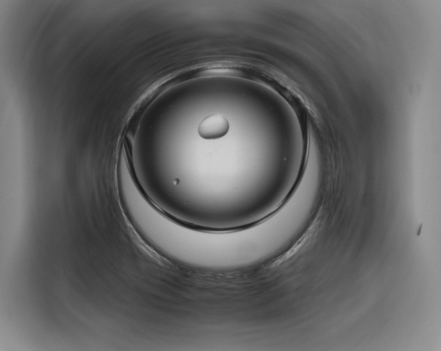 X0000116661417200912141311