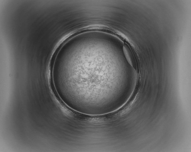 X0000116661418200912141311