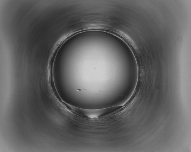 X0000116661419200912141311