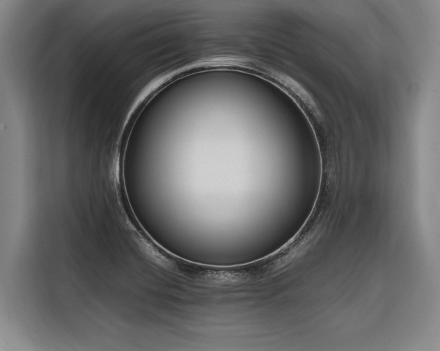 X0000116661420200912141311