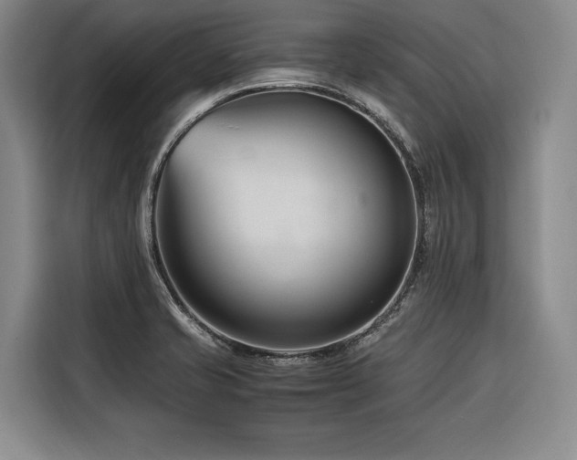 X0000116661421200912141311