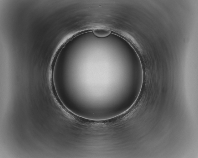 X0000116661424200912141311