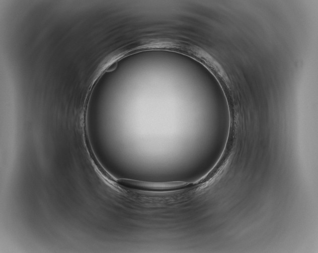 X0000116661425200912141311