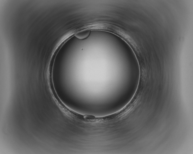 X0000116661426200912141311