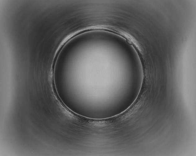 X0000116661428200912141311