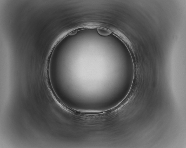 X0000116661429200912141311