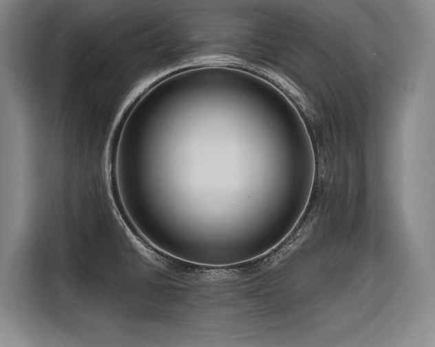 X0000116661430200912141311