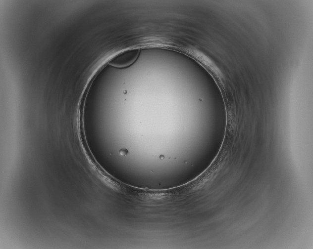 X0000116661431200912141311