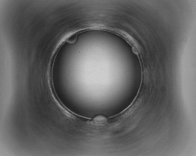 X0000116661432200912141311