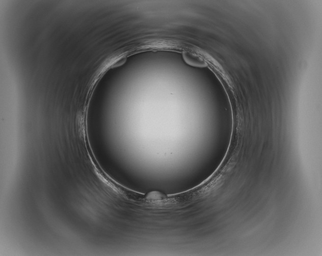 X0000116661433200912141311