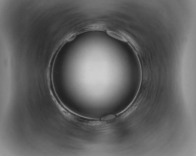 X0000116661434200912141311