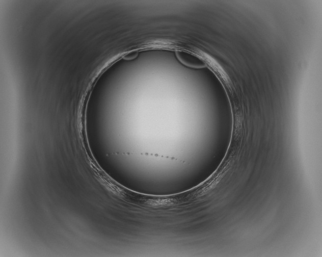 X0000116661435200912141312