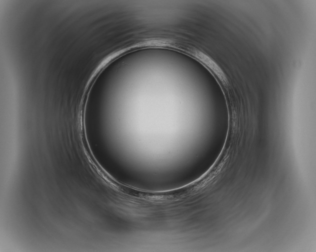 X0000116661436200912141312