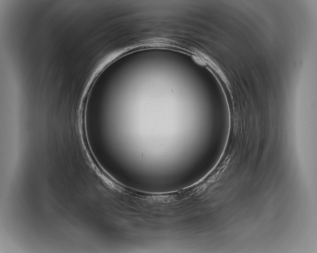 X0000116661437200912141312