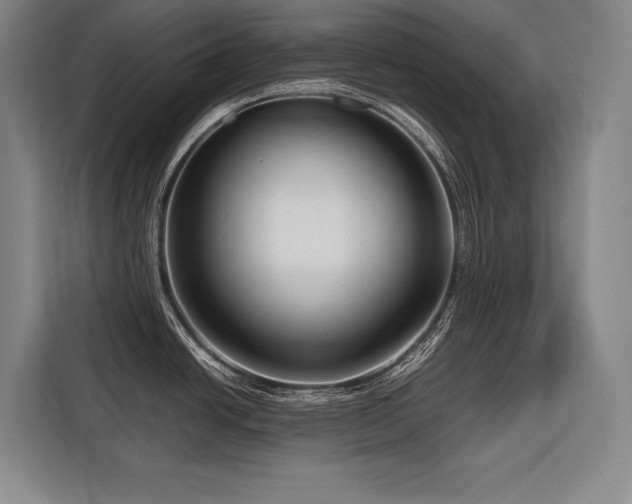 X0000116661438200912141312