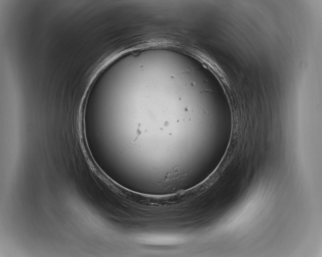 X0000116661439200912141312