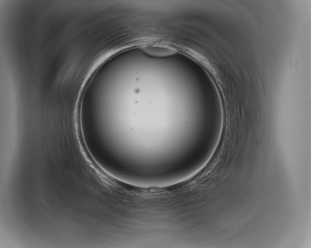 X0000116661440200912141312