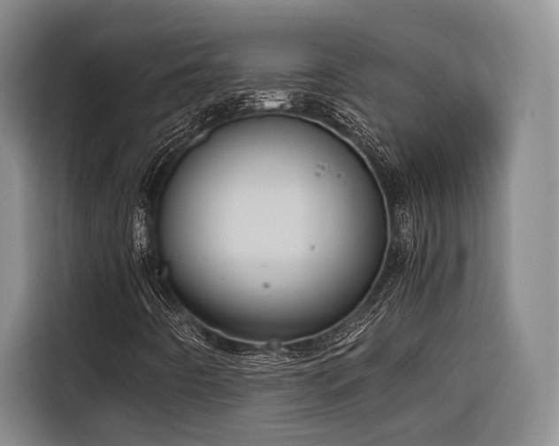 X0000116661442200912141311