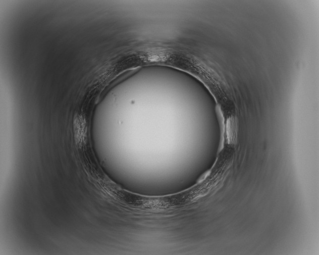 X0000116661443200912141311