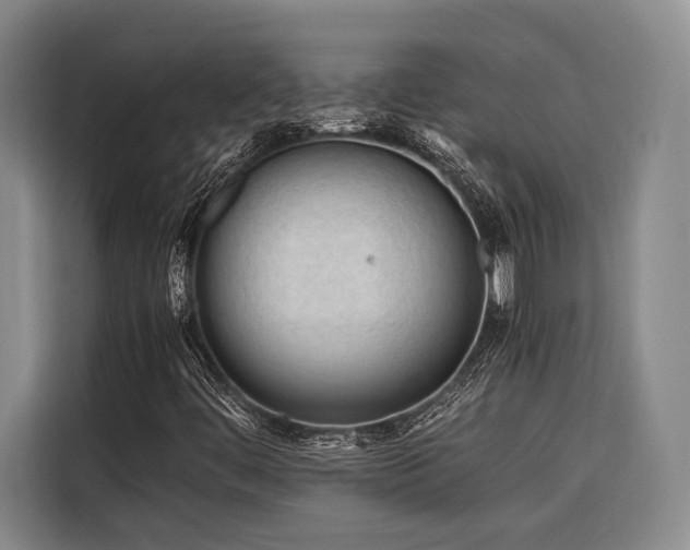 X0000116661444200912141311