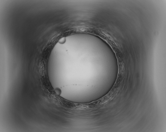 X0000116661446200912141311