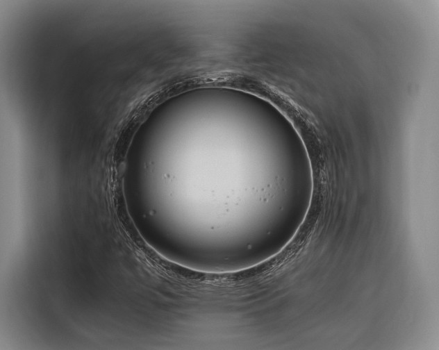 X0000116661447200912141311