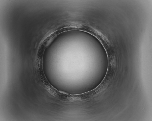 X0000116661448200912141311