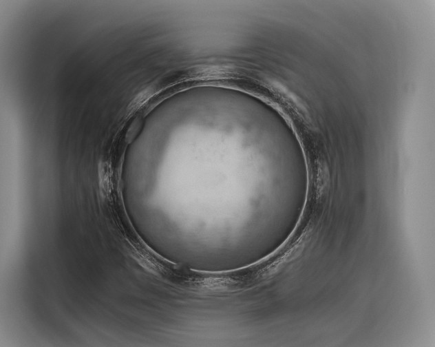 X0000116661449200912141311